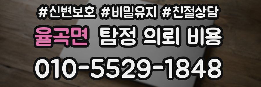 율곡면 탐정 의뢰 비용