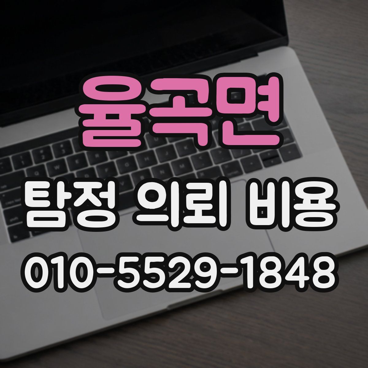 율곡면 탐정 의뢰 비용