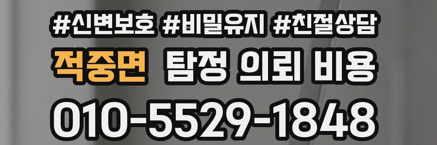 적중면 탐정 의뢰 비용