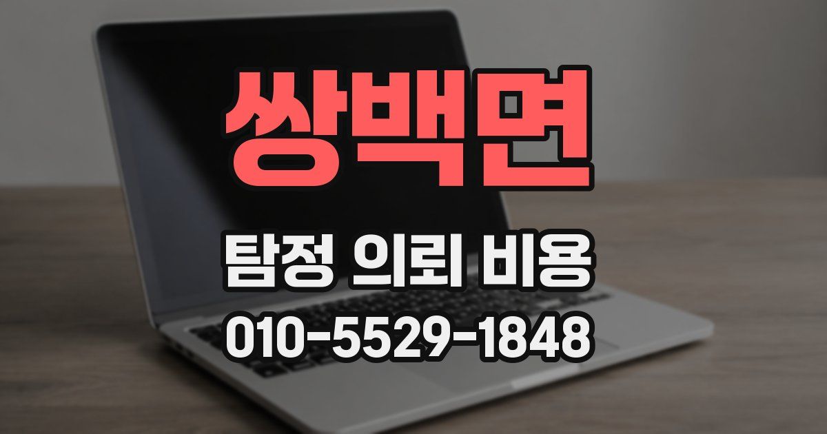 쌍백면 탐정 의뢰 비용