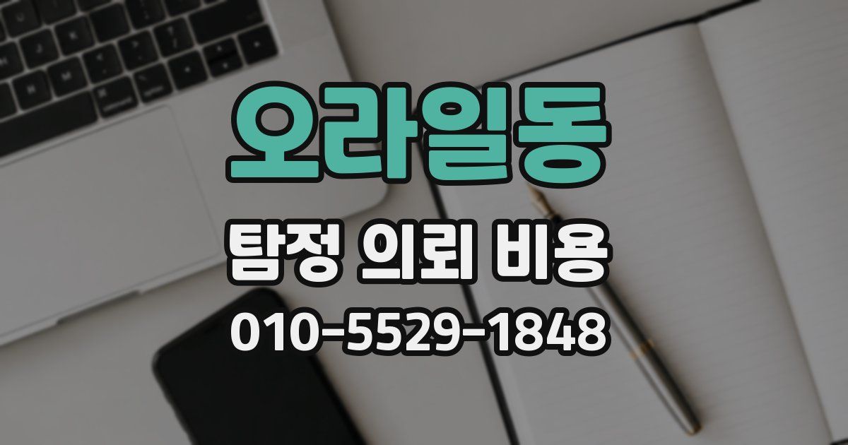 오라일동 탐정 의뢰 비용