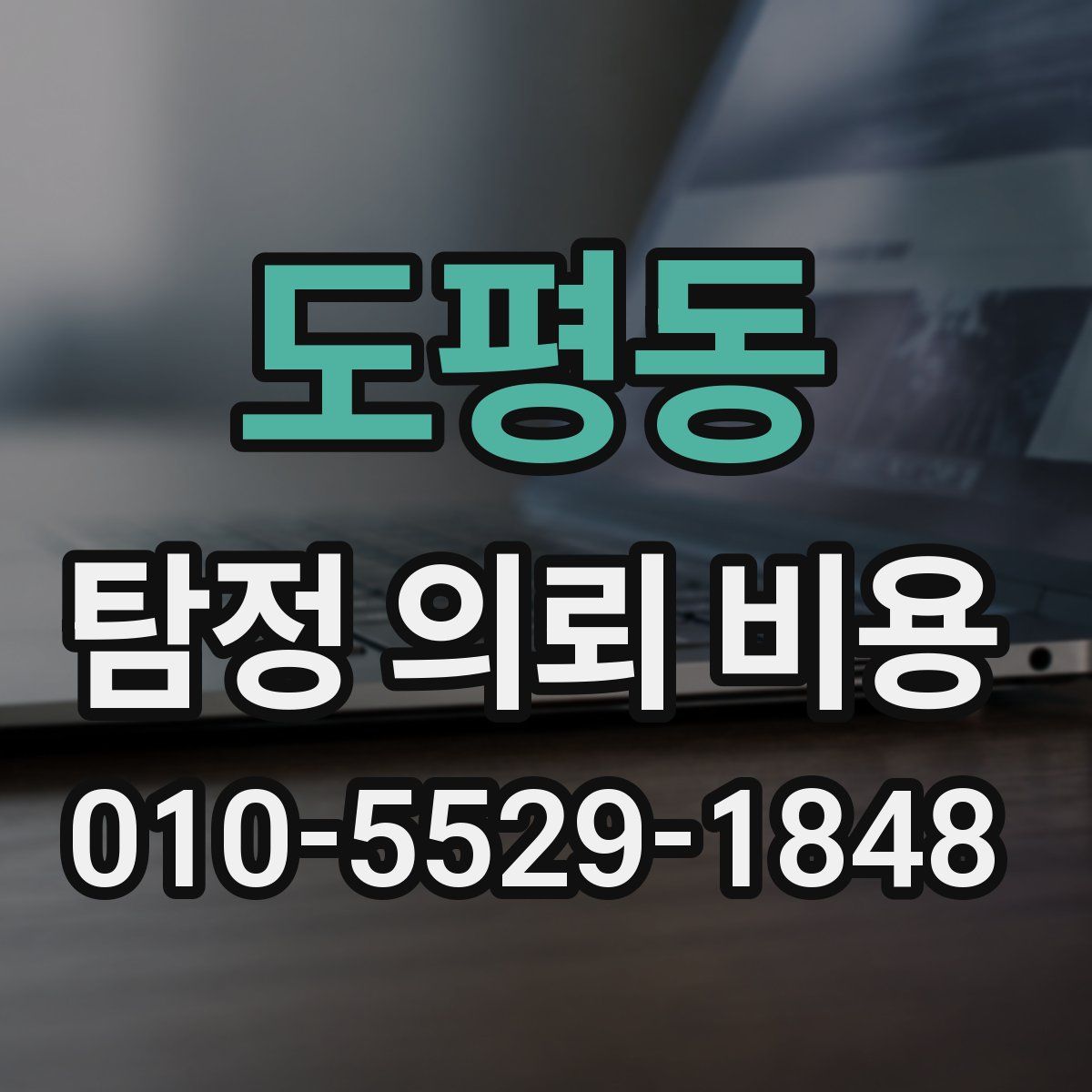 도평동 탐정 의뢰 비용