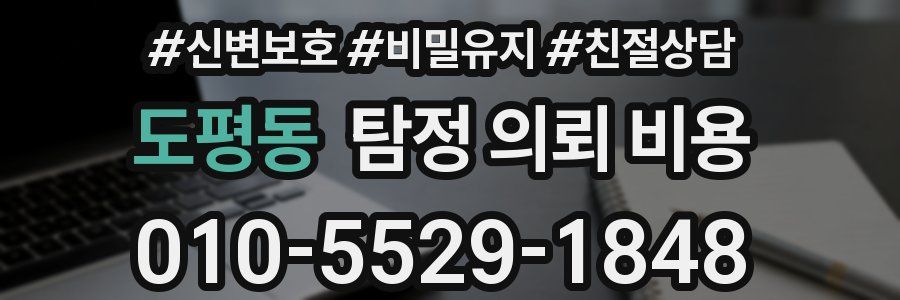 도평동 탐정 의뢰 비용