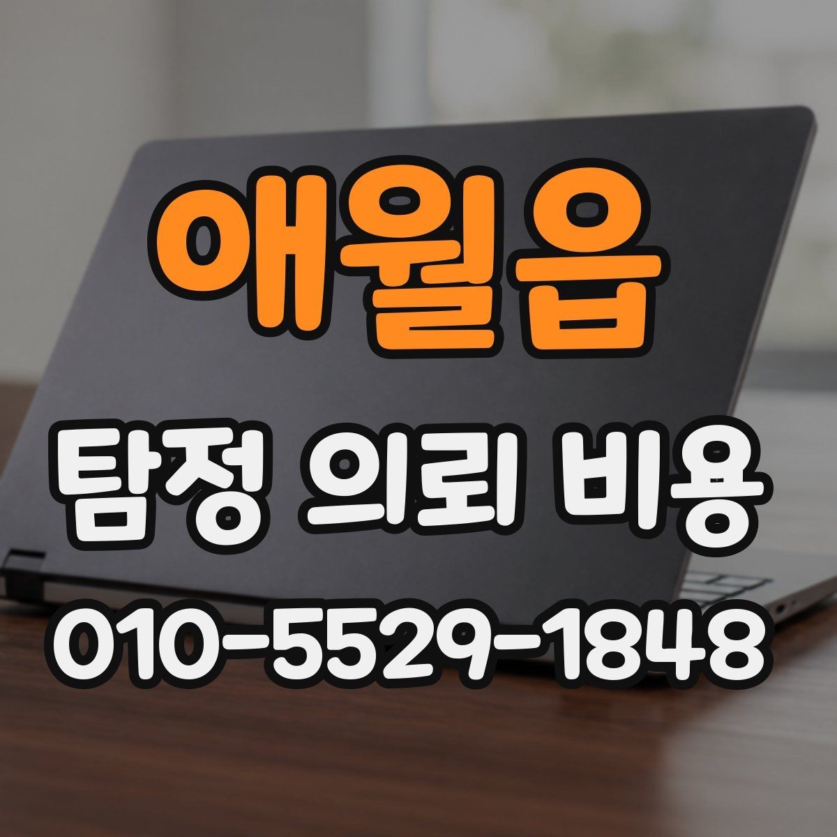 애월읍 탐정 의뢰 비용 선택 전에 살펴볼 서비스 내용