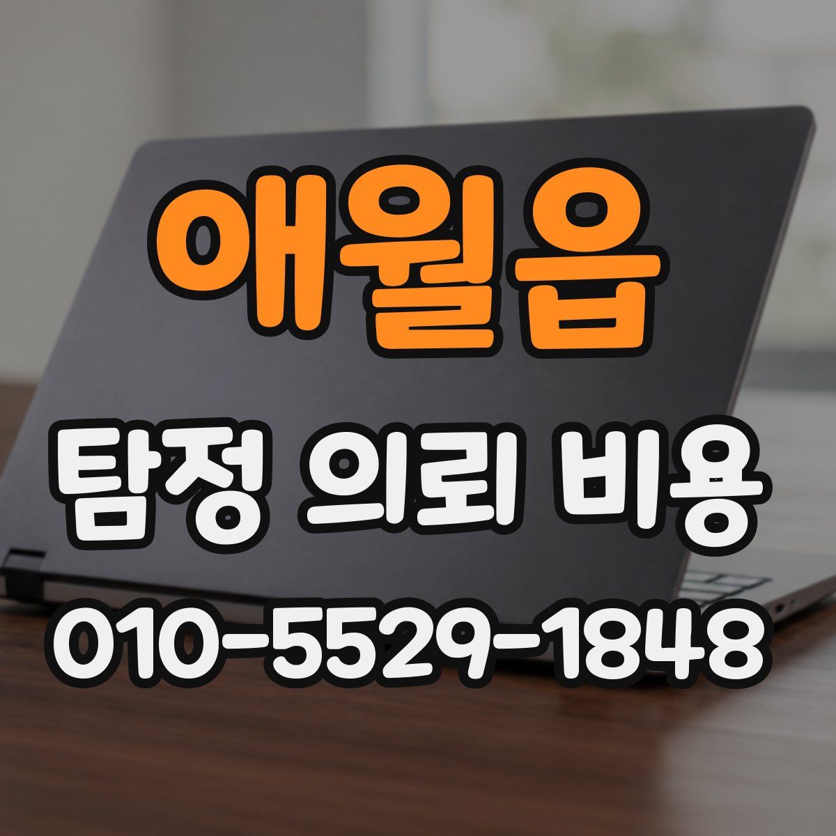 애월읍 탐정 의뢰 비용