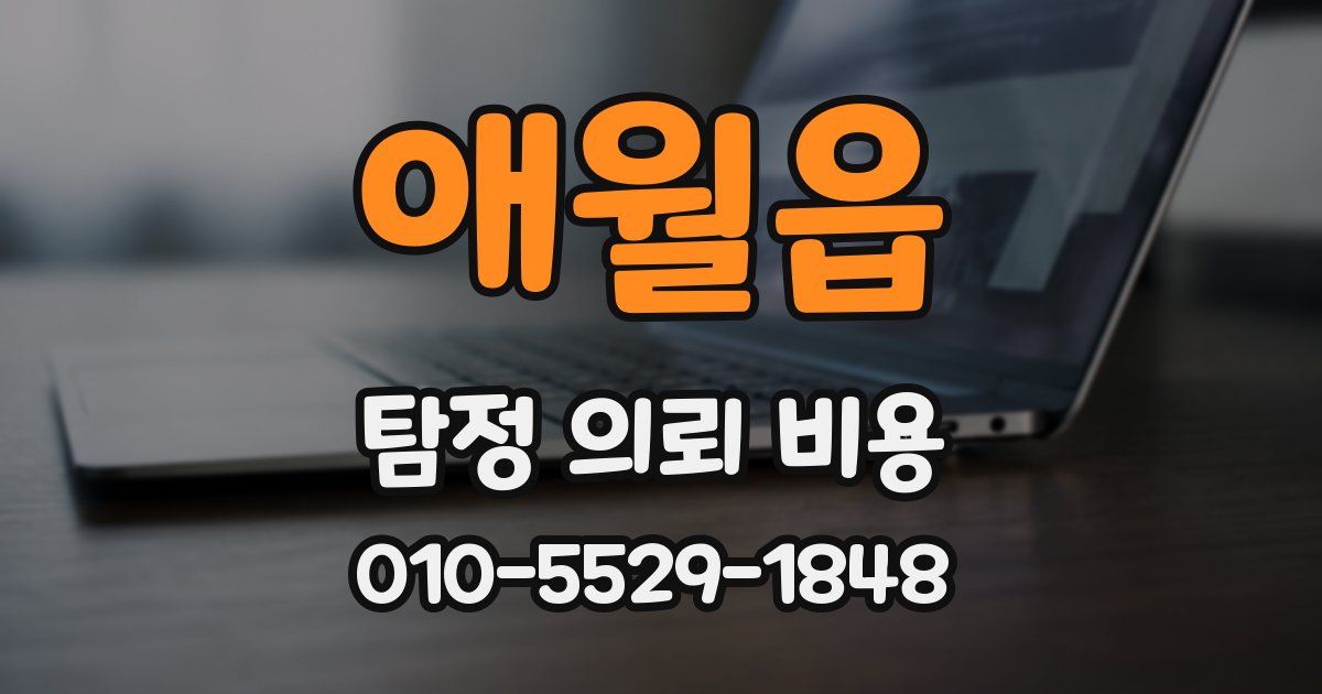 애월읍 탐정 의뢰 비용
