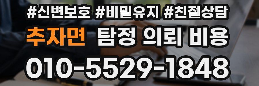 추자면 탐정 의뢰 비용