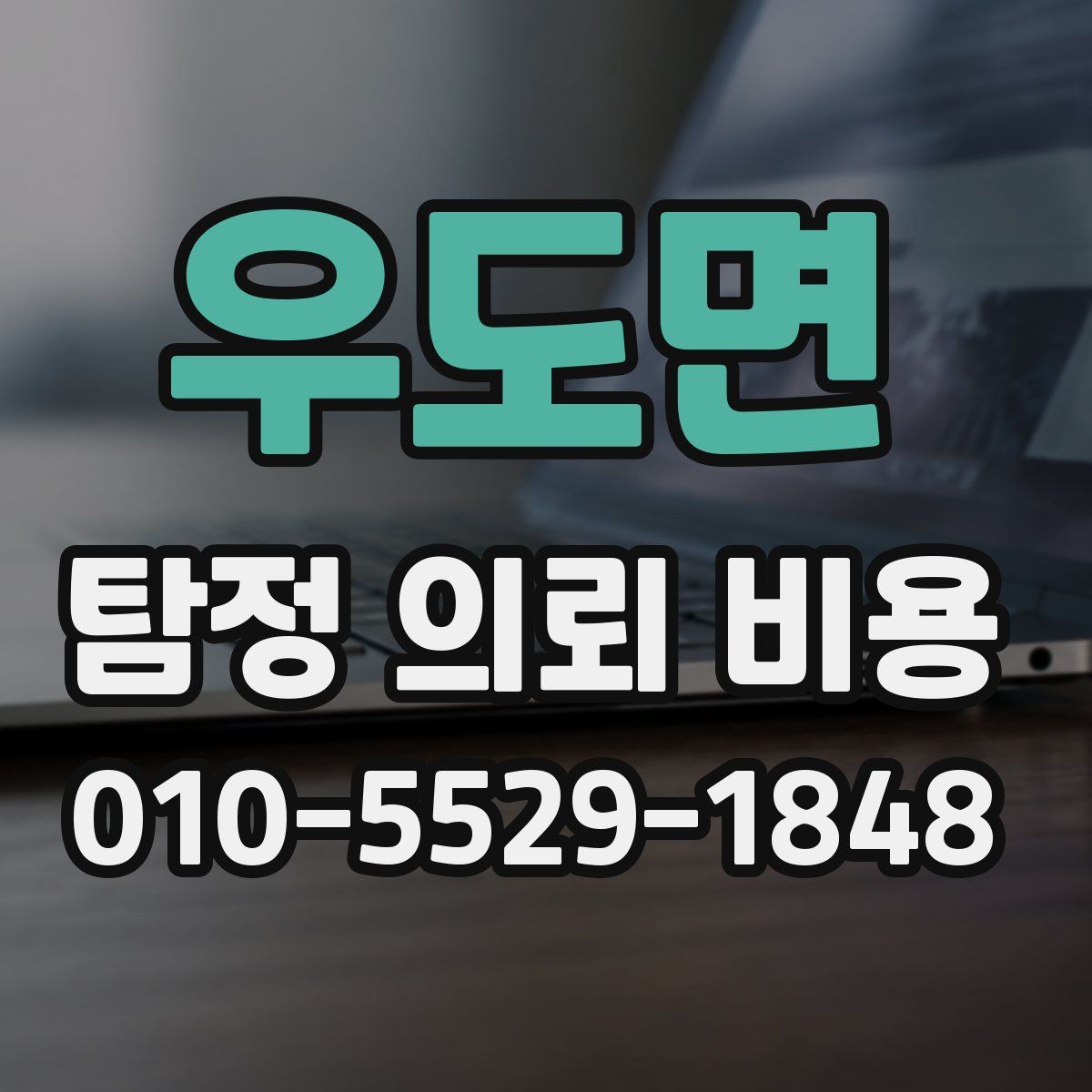 우도면 탐정 의뢰 비용