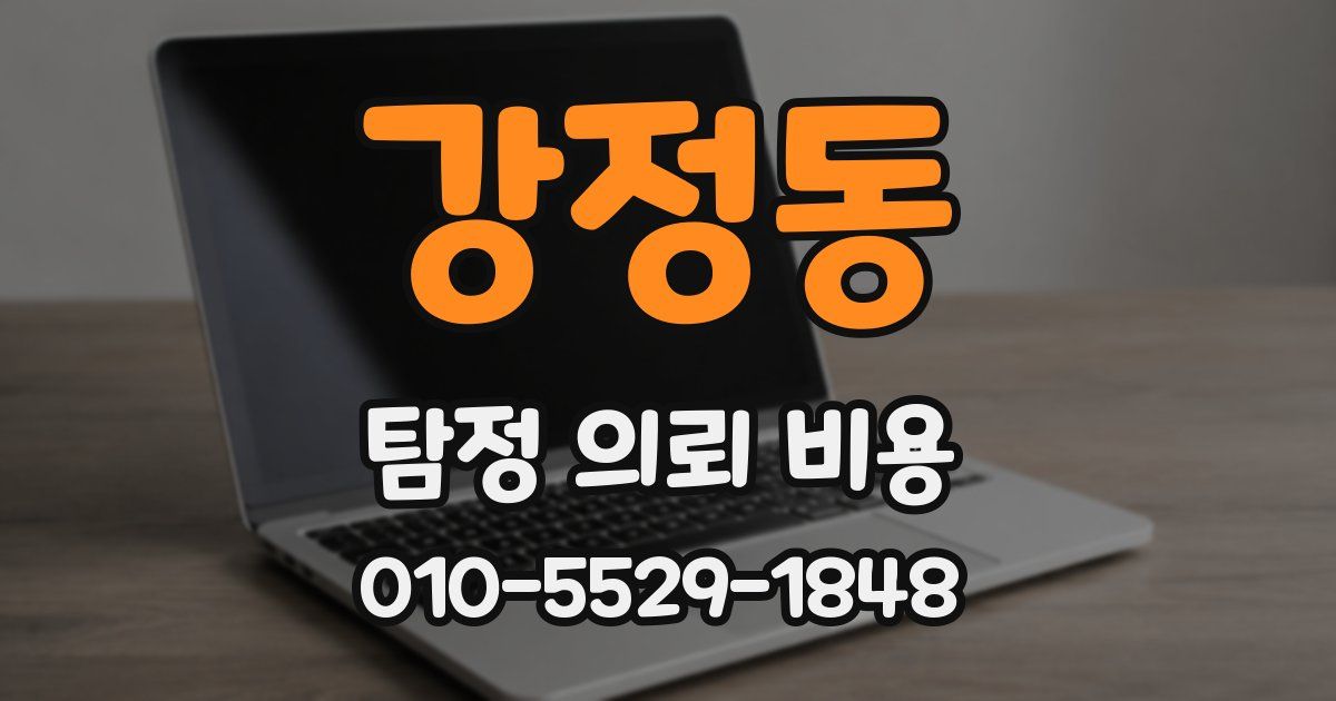 강정동 탐정 의뢰 비용