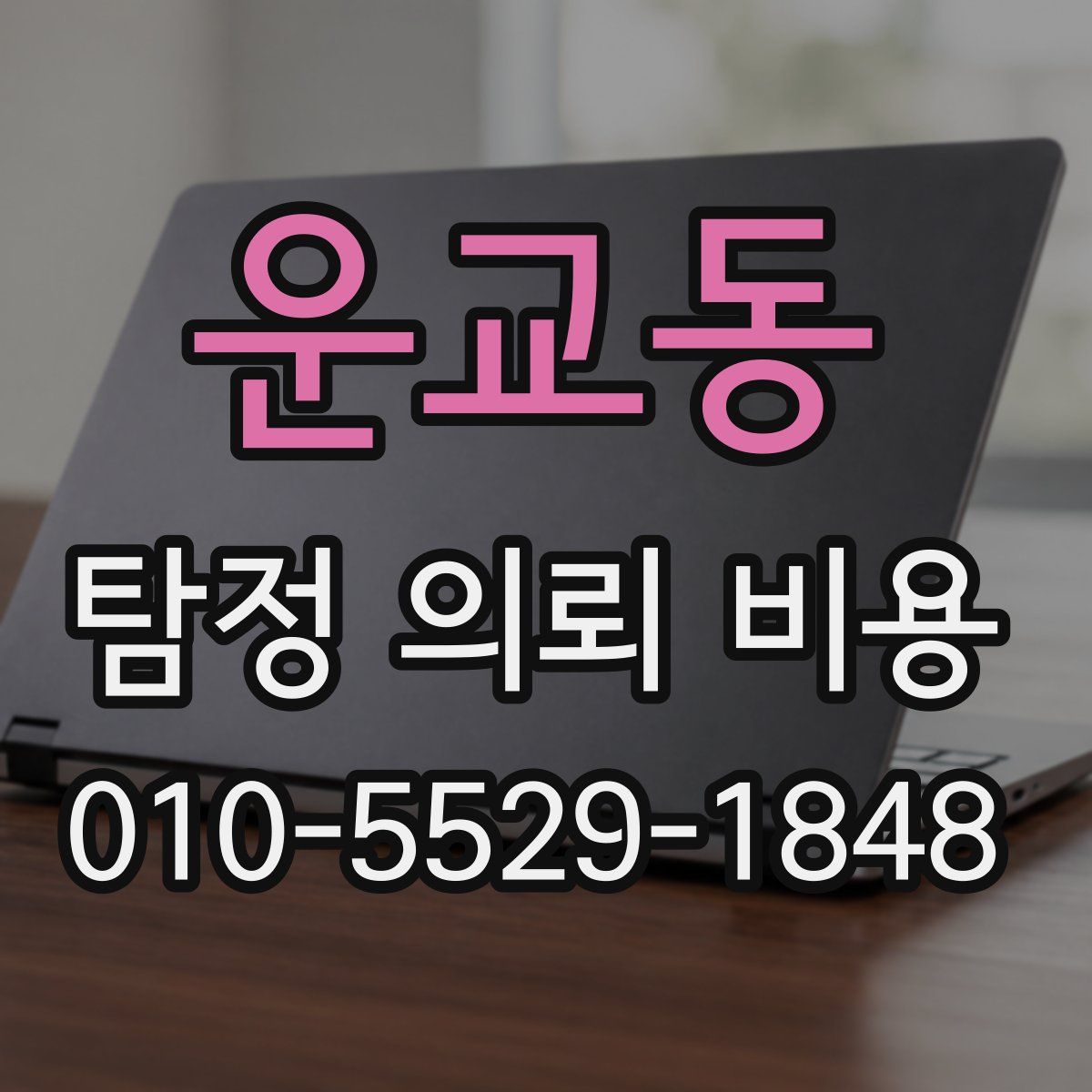 운교동 탐정 의뢰 비용
