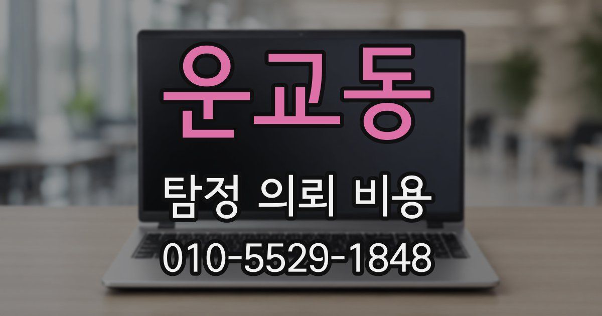 운교동 탐정 의뢰 비용