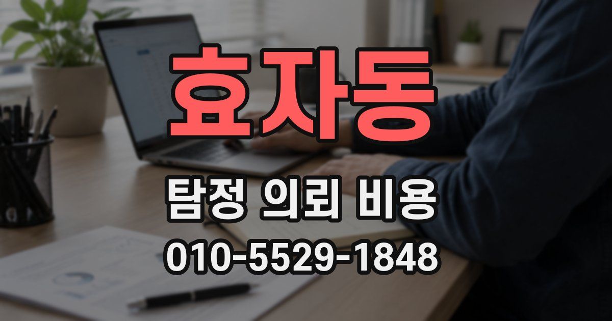 효자동 탐정 의뢰 비용