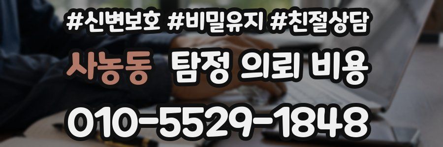 사농동 탐정 의뢰 비용