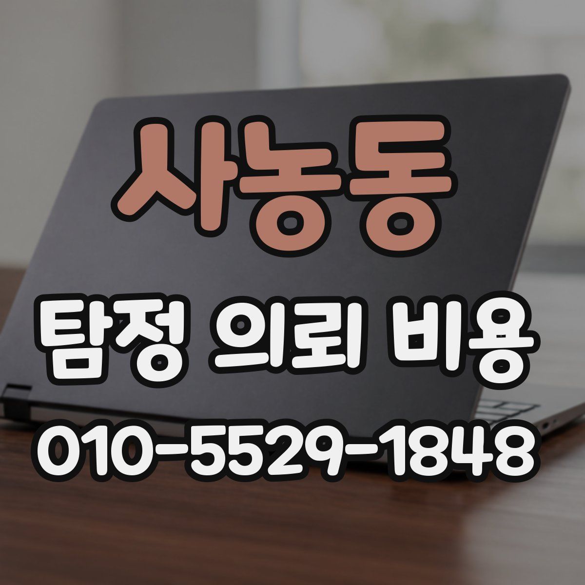 사농동 탐정 의뢰 비용