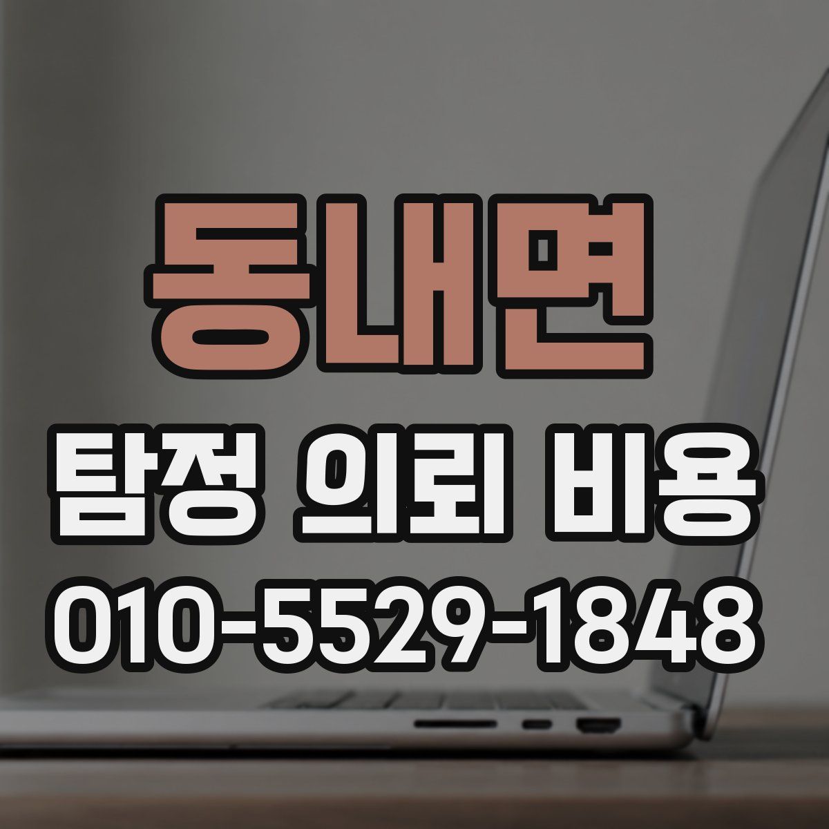 동내면 탐정 의뢰 비용