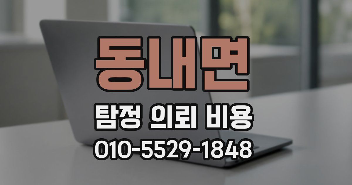 동내면 탐정 의뢰 비용