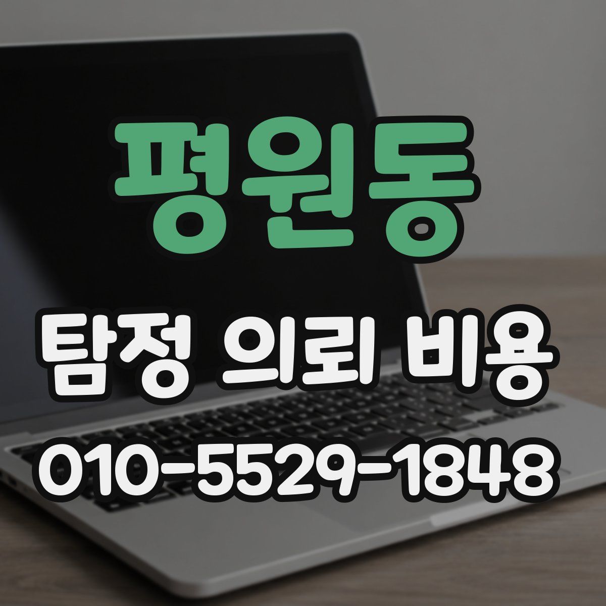 평원동 탐정 의뢰 비용
