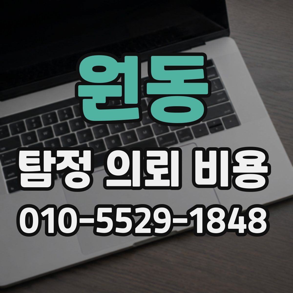 원동 탐정 의뢰 비용