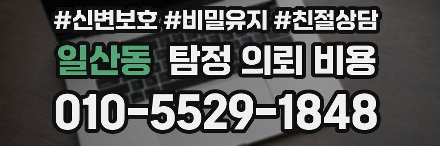 일산동 탐정 의뢰 비용