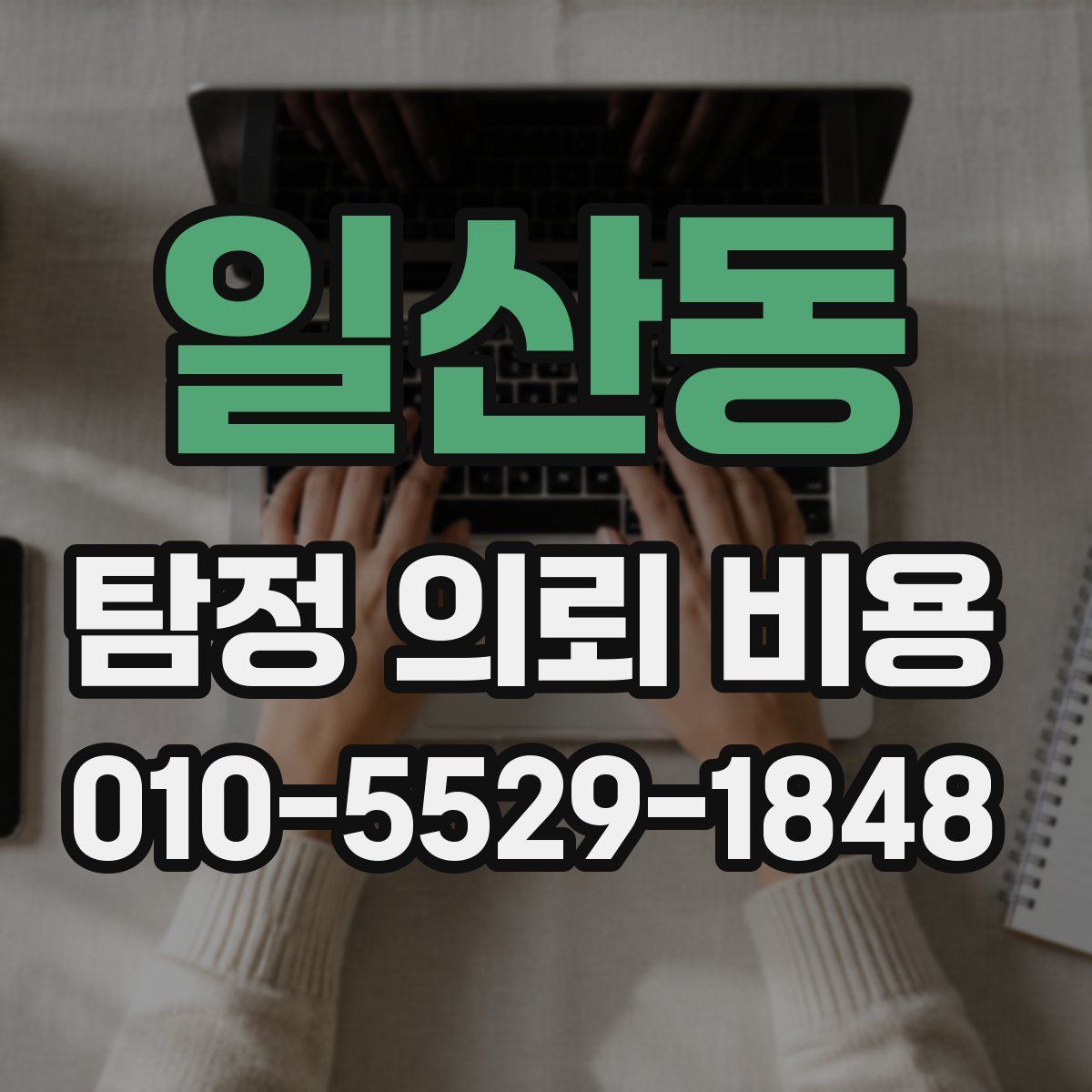 일산동 탐정 의뢰 비용