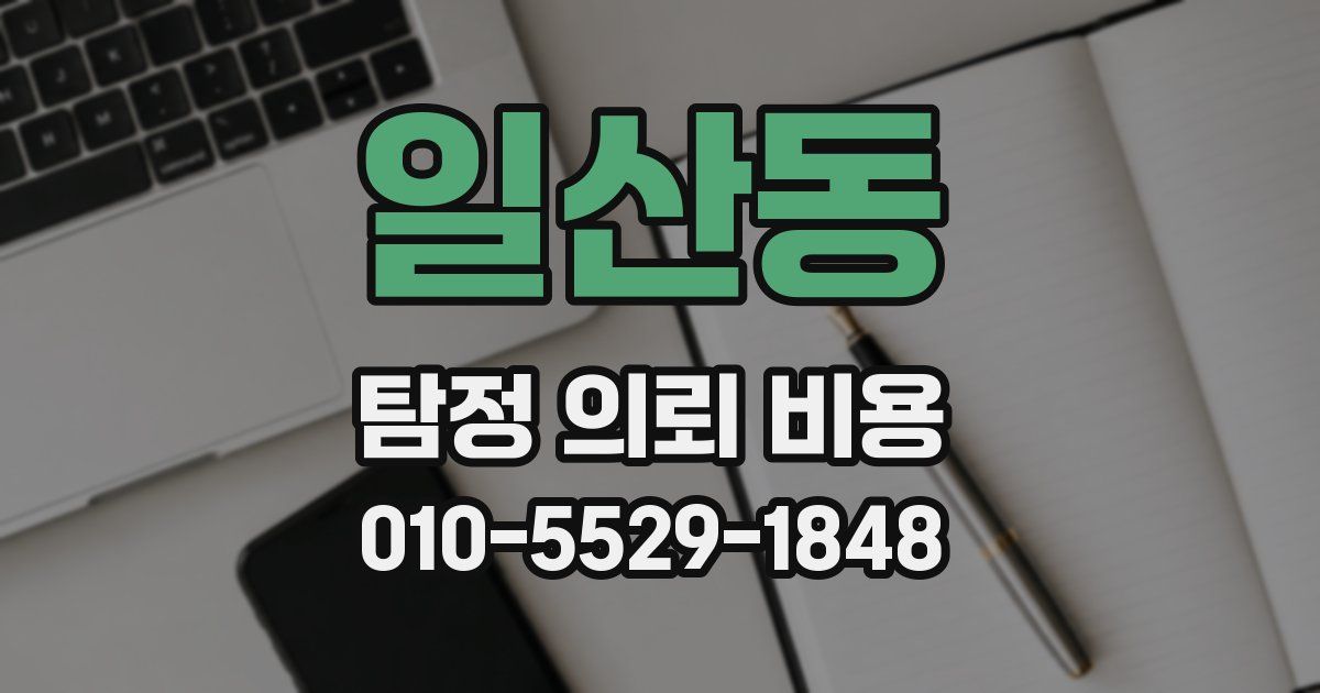 일산동 탐정 의뢰 비용