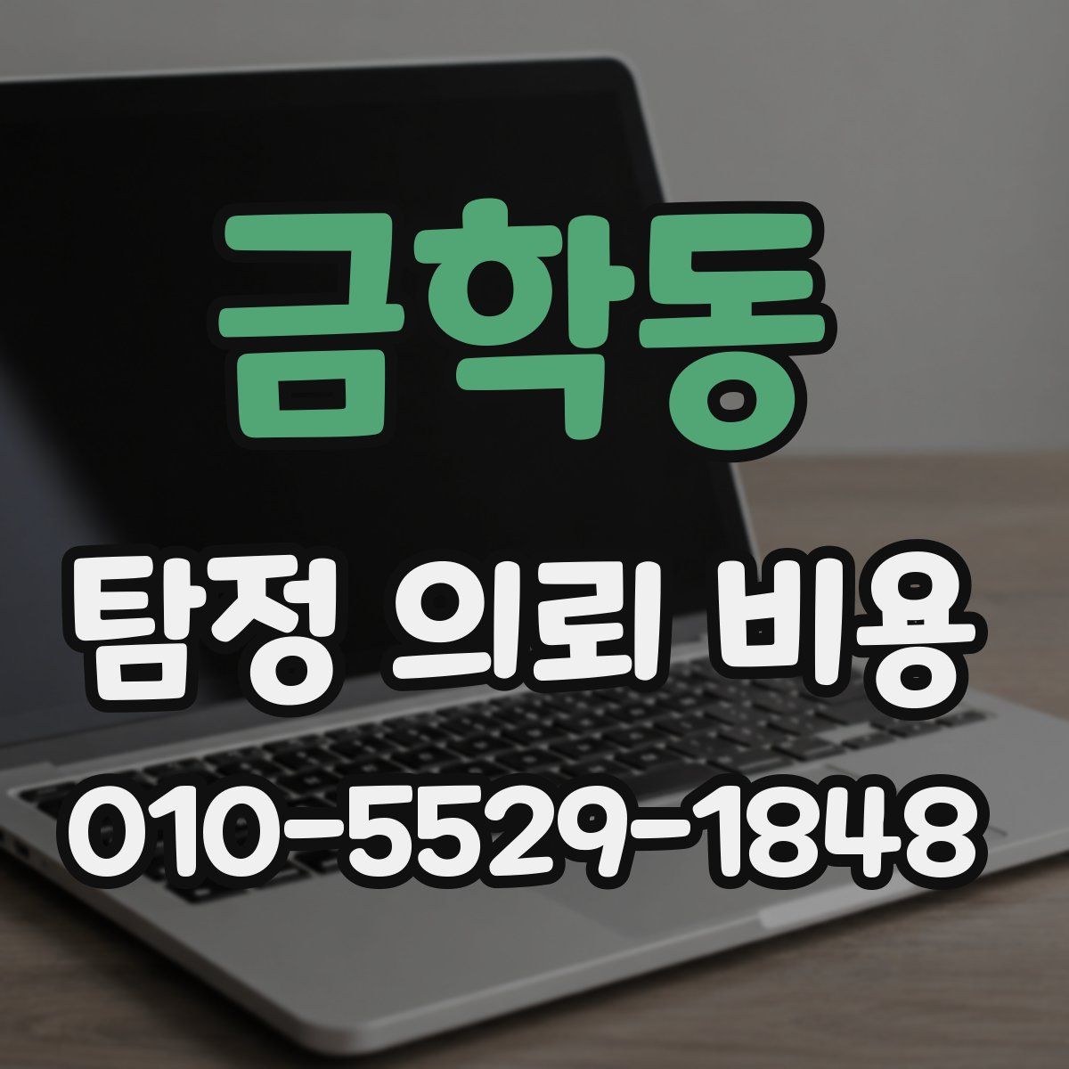 금학동 탐정 의뢰 비용
