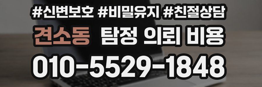 견소동 탐정 의뢰 비용