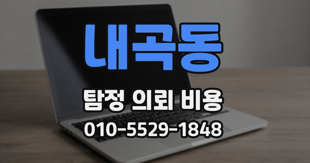 내곡동 탐정 의뢰 비용