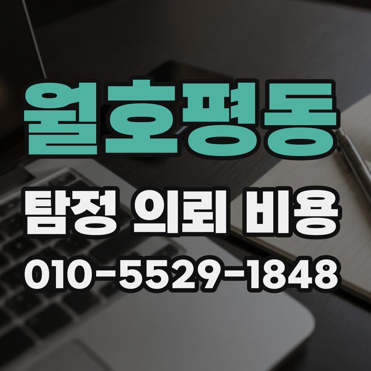 월호평동 탐정 의뢰 비용