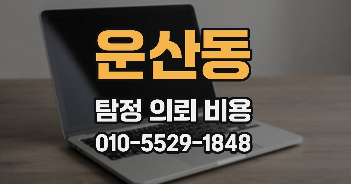 운산동 탐정 의뢰 비용
