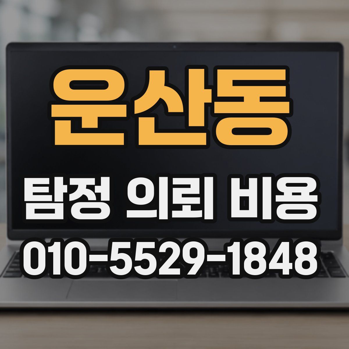 운산동 탐정 의뢰 비용