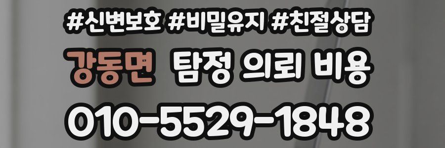 강동면 탐정 의뢰 비용