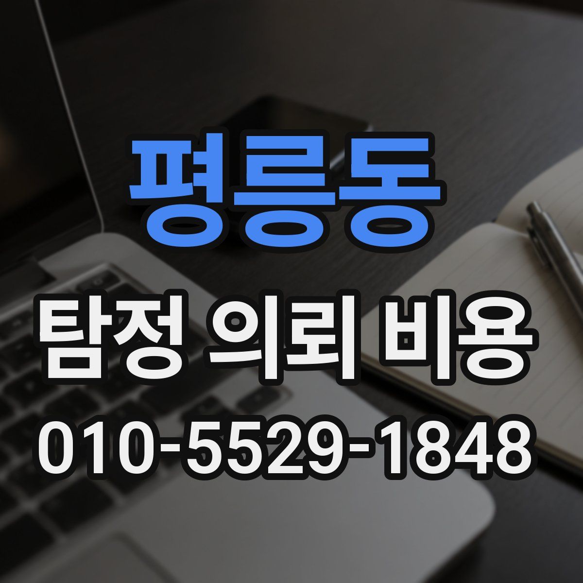 평릉동 탐정 의뢰 비용