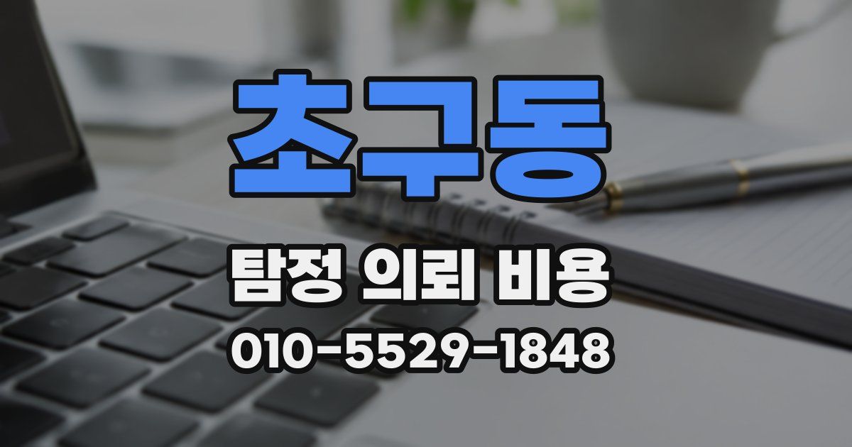 초구동 탐정 의뢰 비용