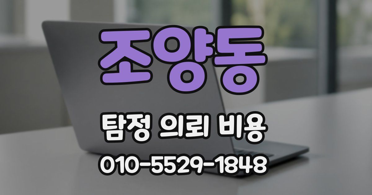 조양동 탐정 의뢰 비용