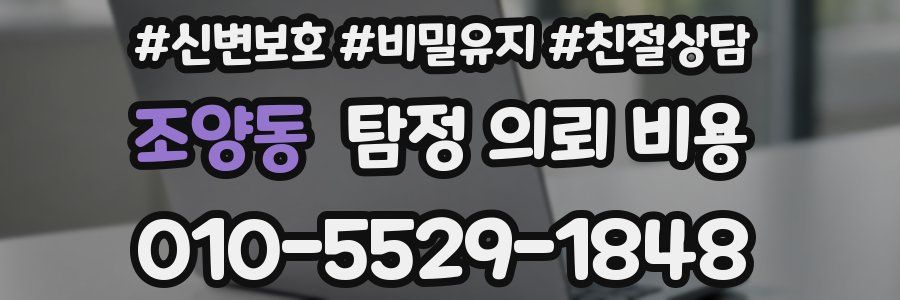 조양동 탐정 의뢰 비용