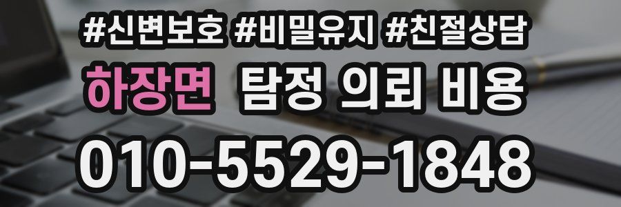 하장면 탐정 의뢰 비용