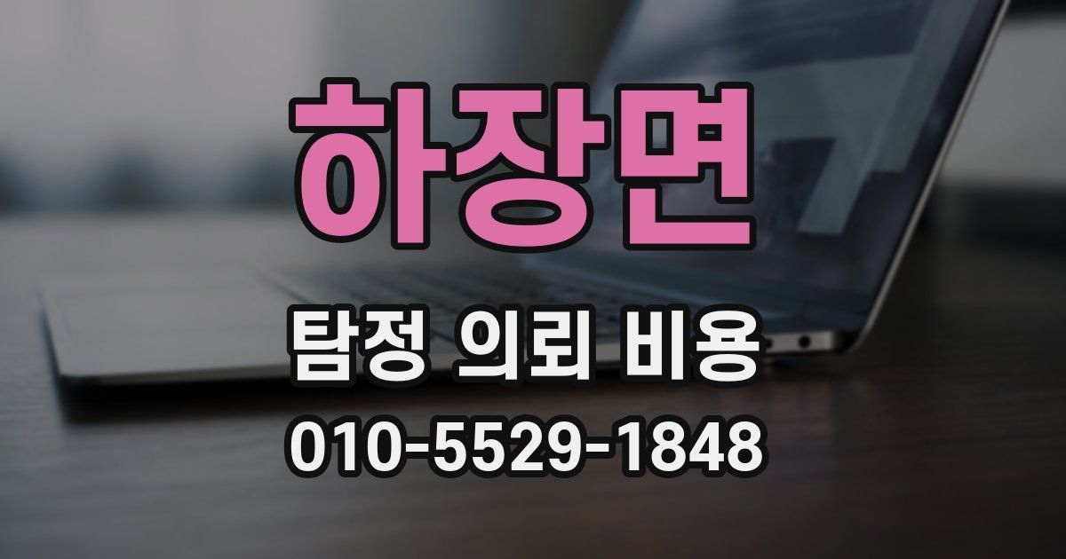 하장면 탐정 의뢰 비용