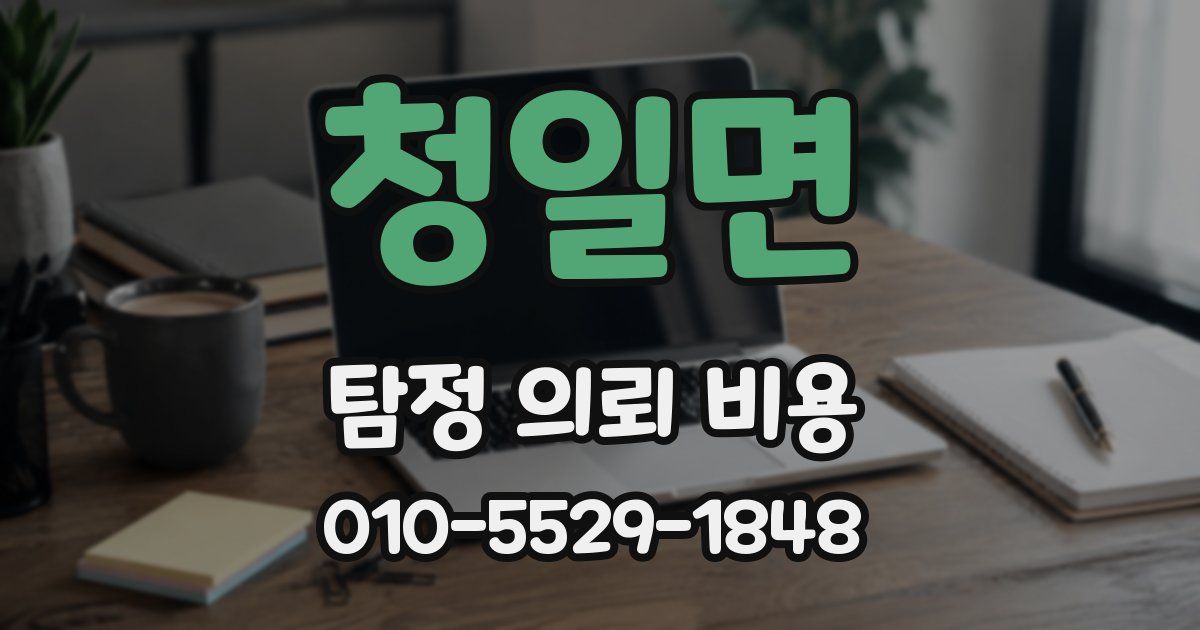 청일면 탐정 의뢰 비용