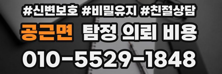 공근면 탐정 의뢰 비용