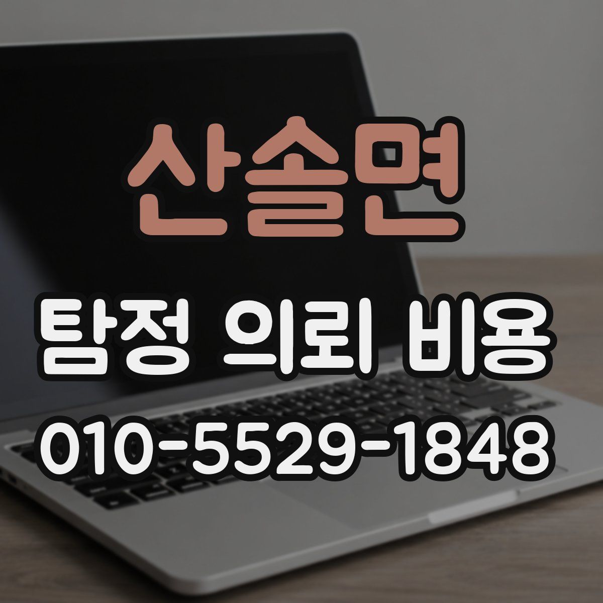 산솔면 탐정 의뢰 비용