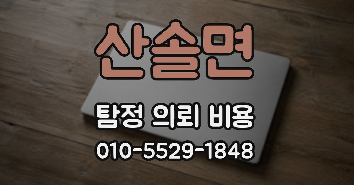 산솔면 탐정 의뢰 비용