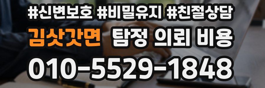 김삿갓면 탐정 의뢰 비용
