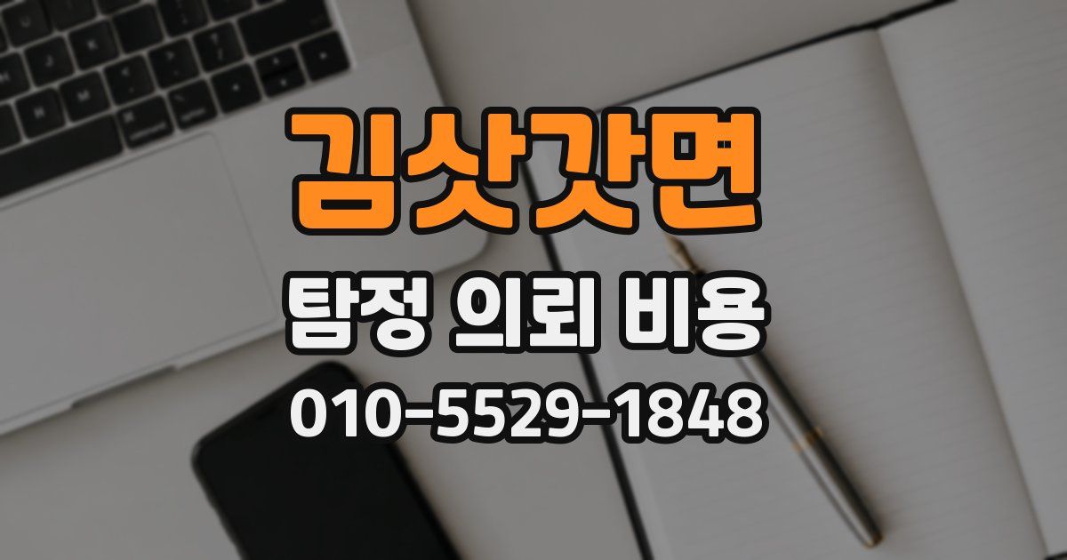김삿갓면 탐정 의뢰 비용