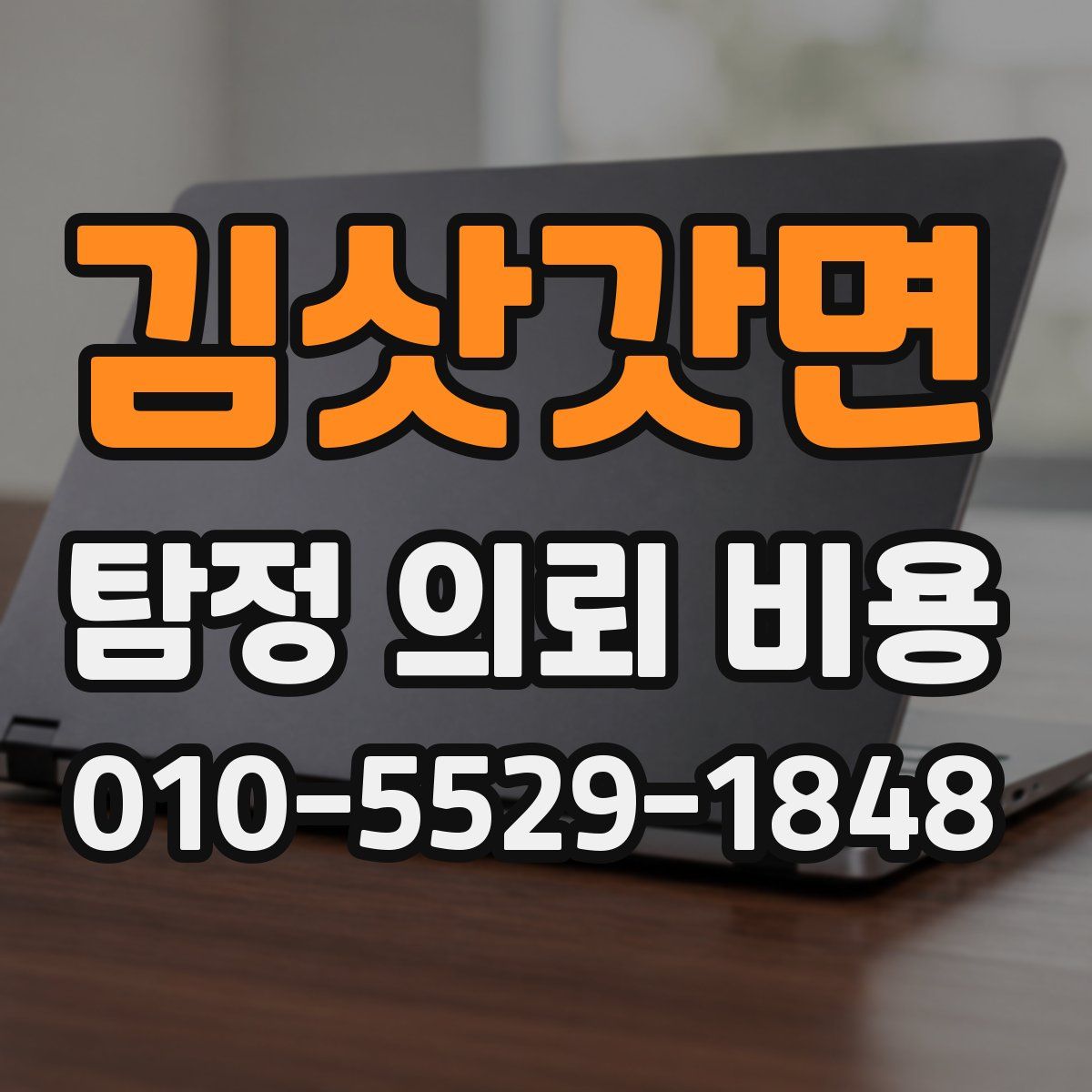 김삿갓면 탐정 의뢰 비용