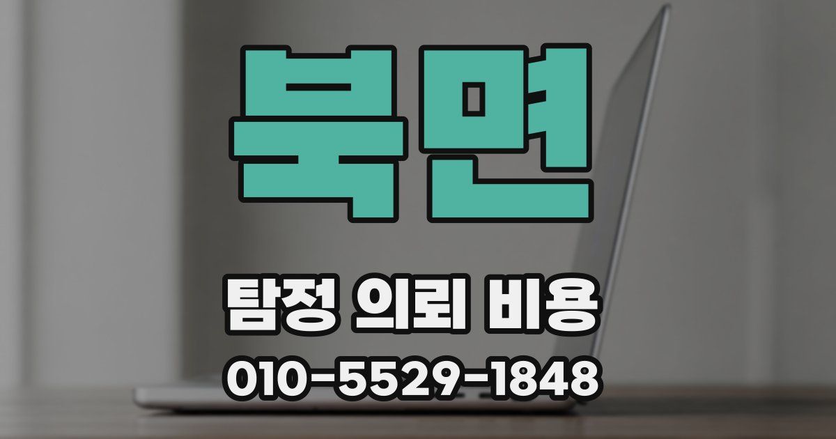 북면 탐정 의뢰 비용