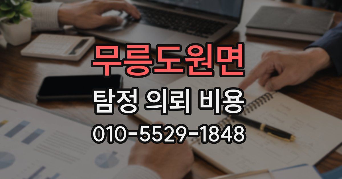 무릉도원면 탐정 의뢰 비용