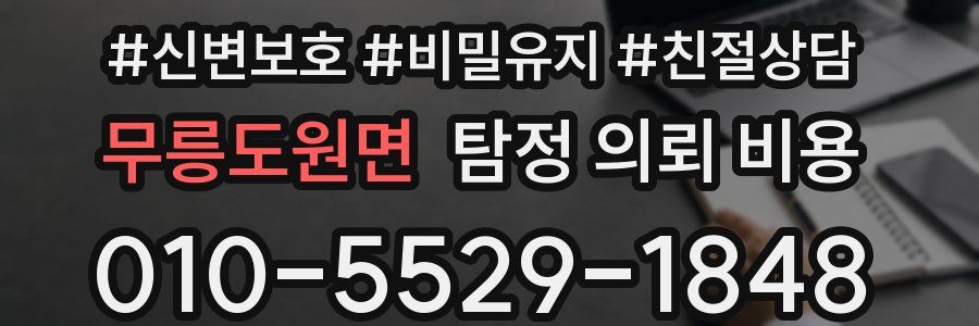 무릉도원면 탐정 의뢰 비용
