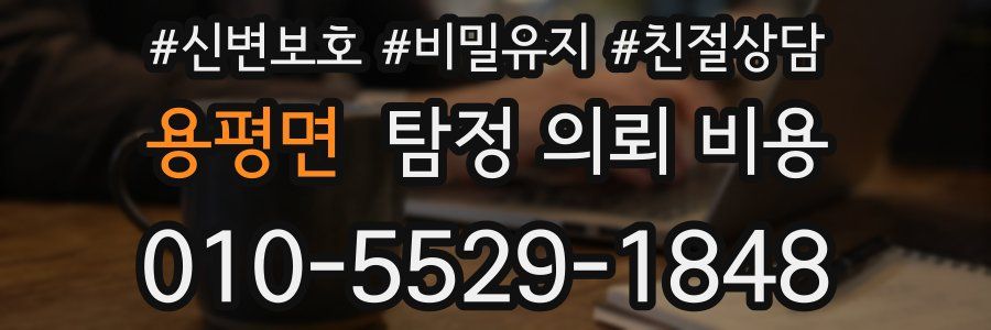 용평면 탐정 의뢰 비용