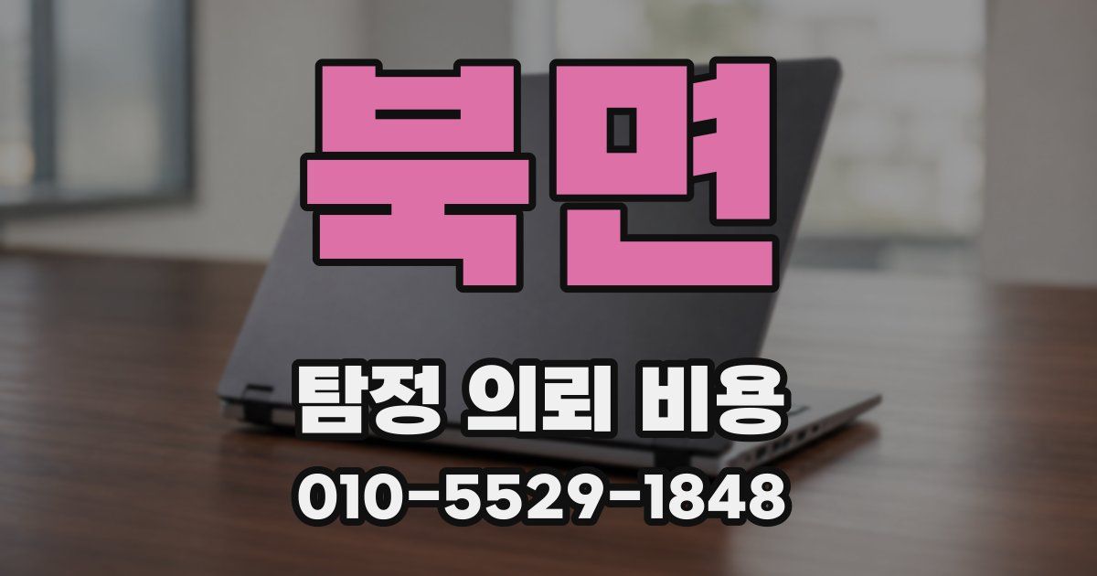 북면 탐정 의뢰 비용